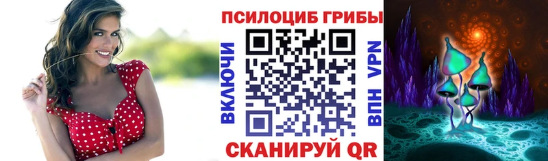 Галлюциногенные грибы мицелий  Петухово 